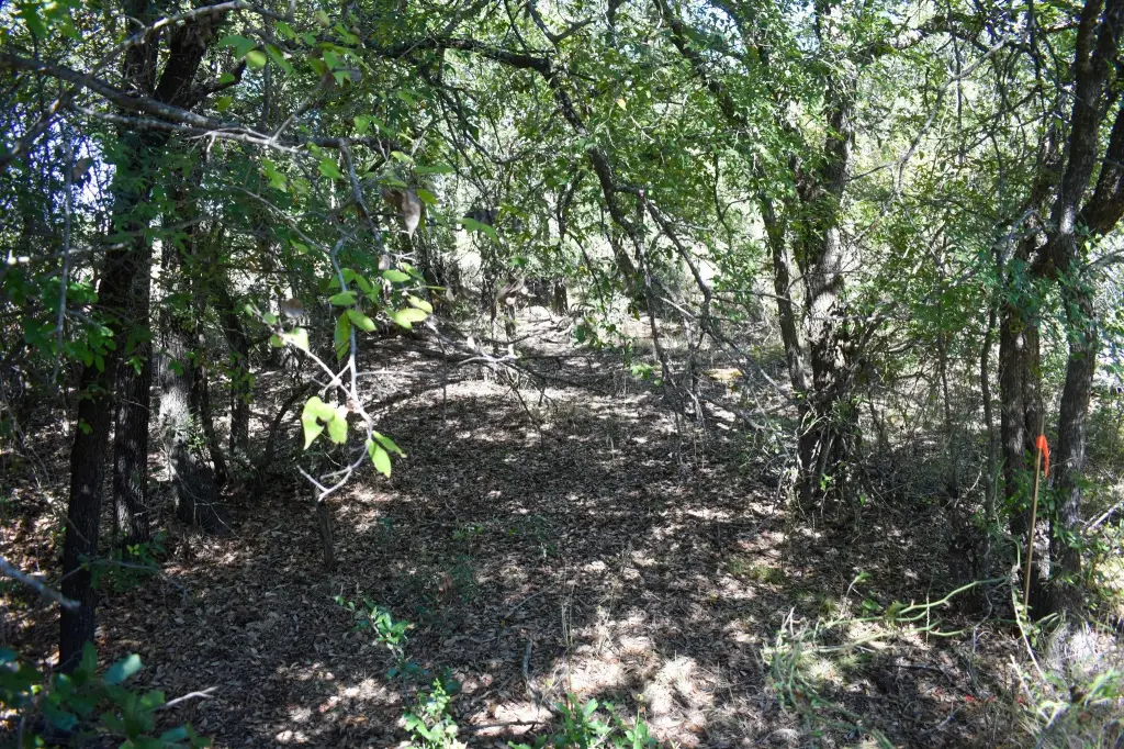 Picture 23