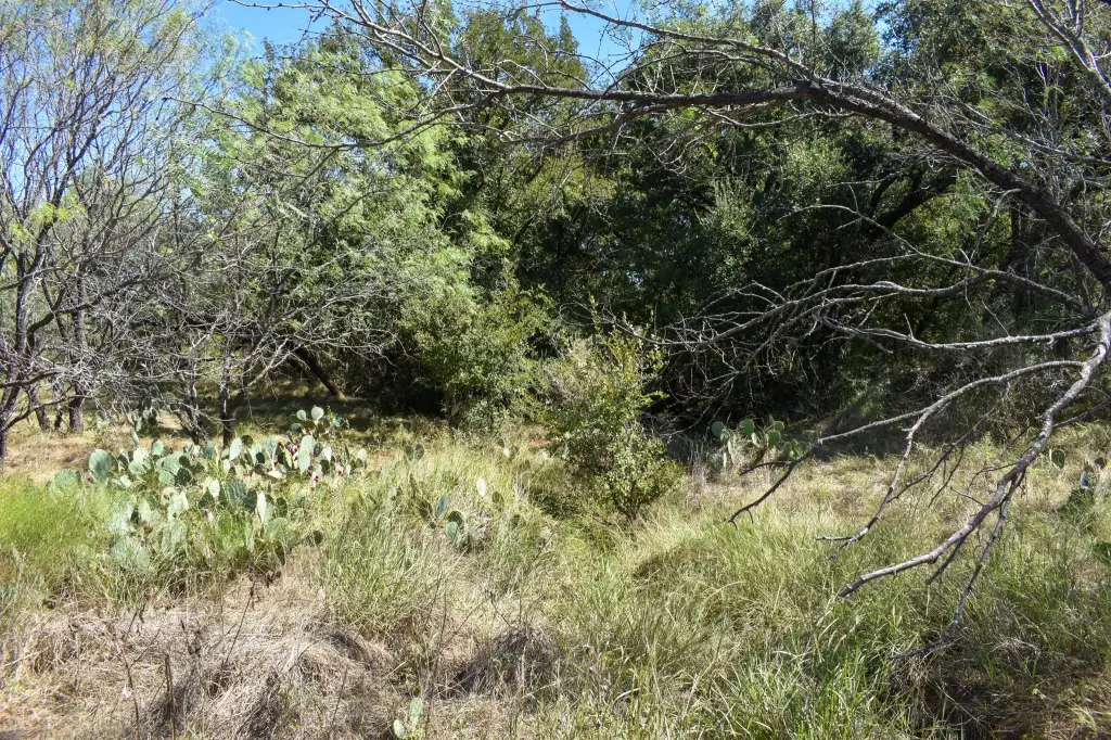 Picture 22