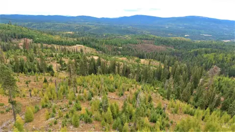 Recreational Land Bordering National Forest