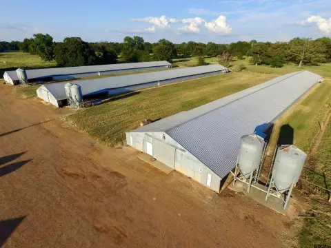 Top Producing Poultry Farm