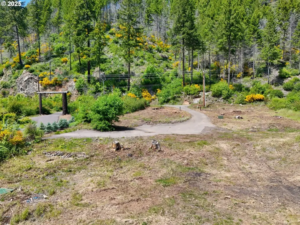 Picture 4