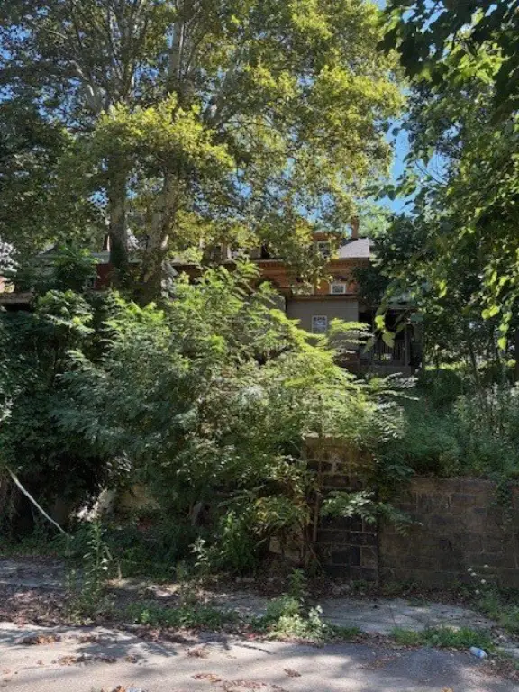 Picture 6