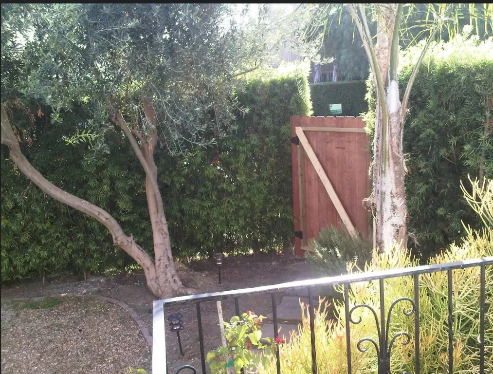 Picture 3
