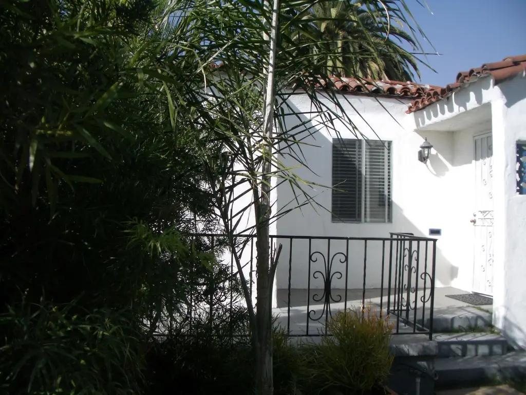 Picture 6