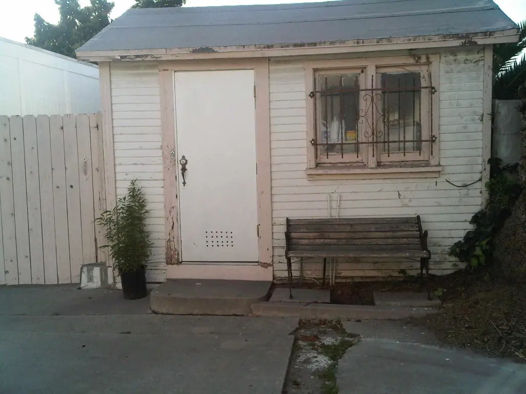 Picture 12