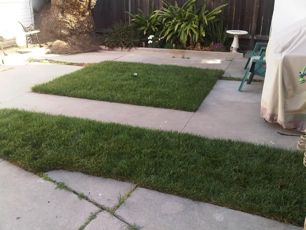 Picture 10