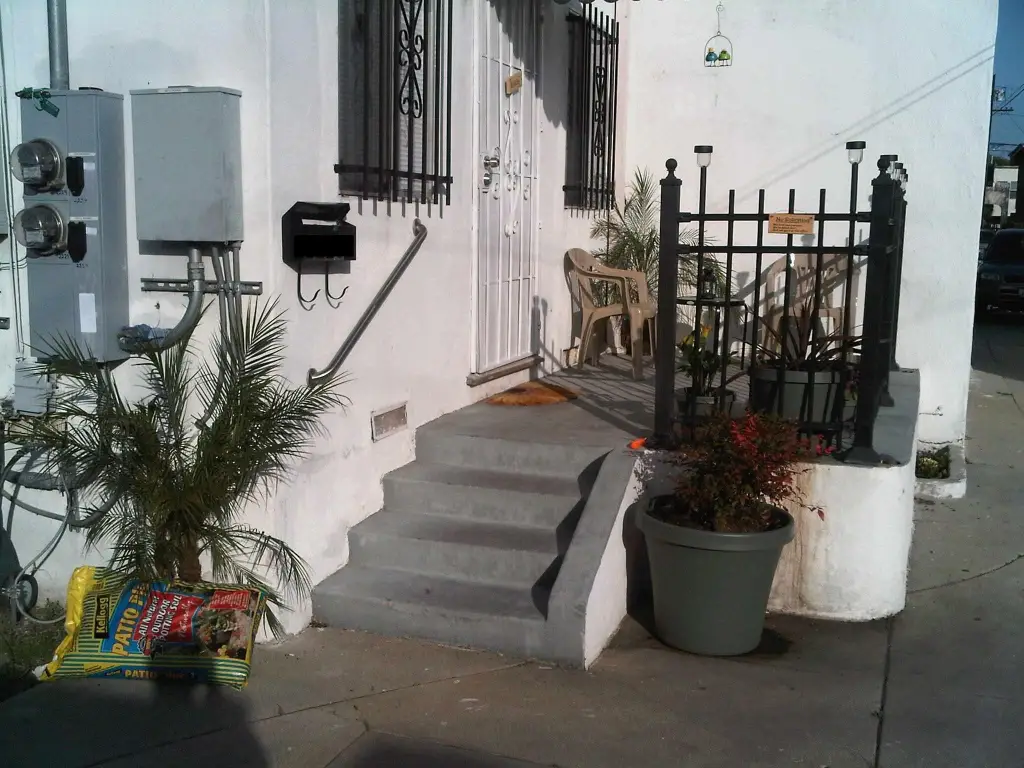Picture 8