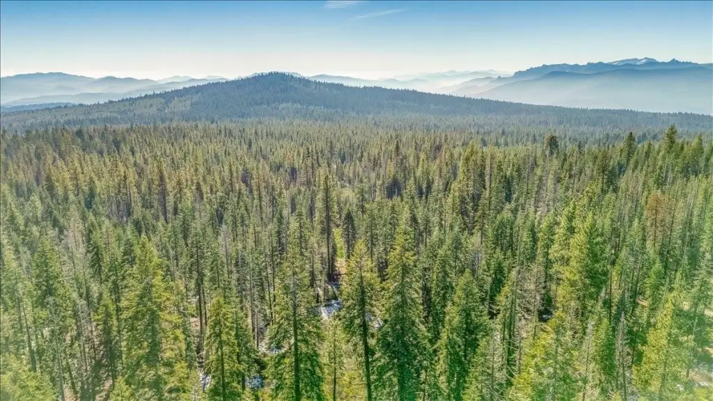 Picture 30