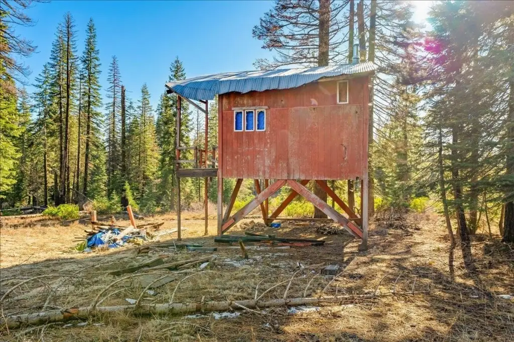 Picture 18
