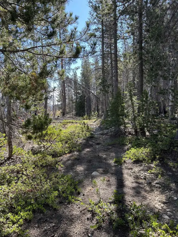 Picture 8