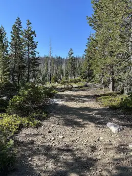 Hunting Land with Spring