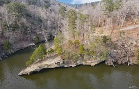 Waterfront Land on Lake Tuscaloosa