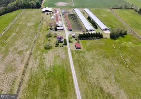 Willards Farmland Near the Ocean