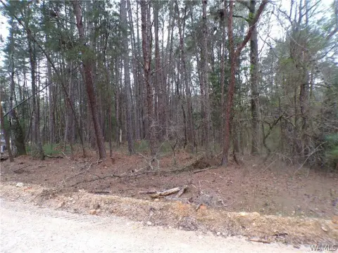 Land in McCalla, Alabama