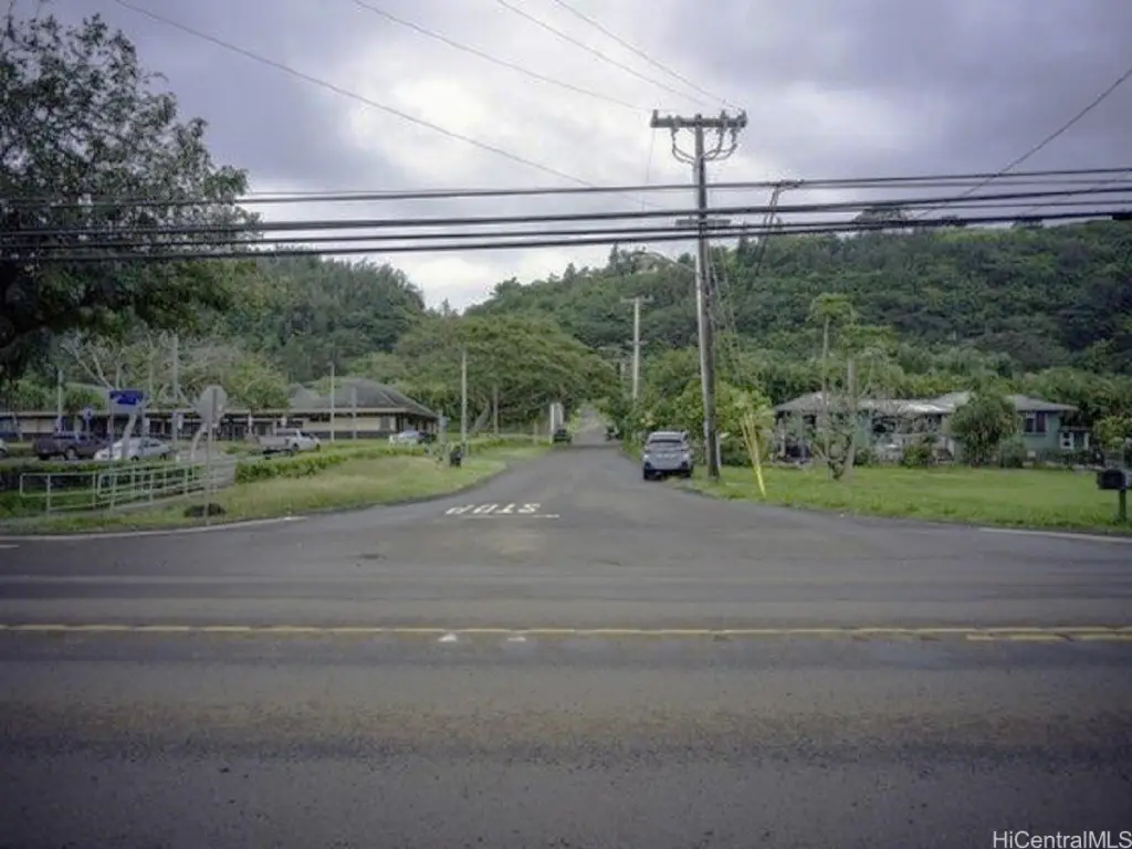 Picture 21