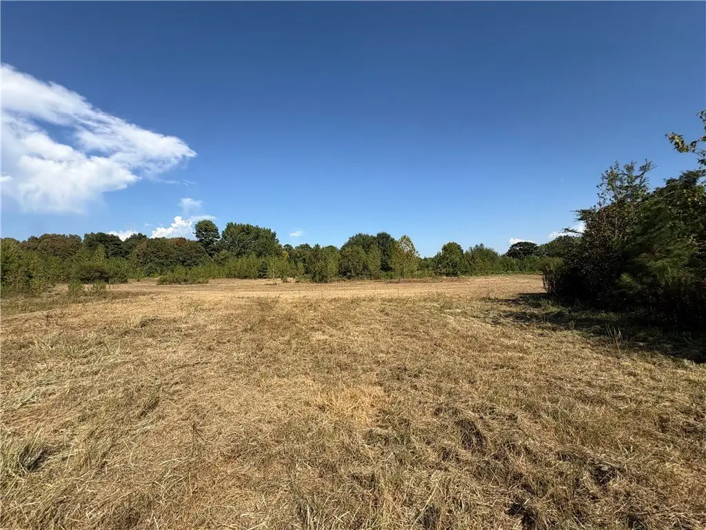 Picture 19
