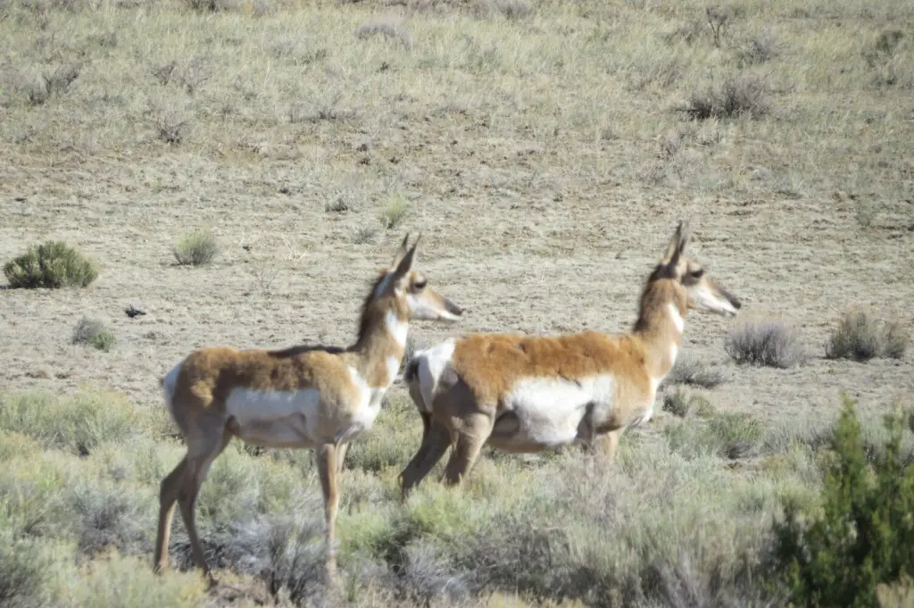 Picture 30