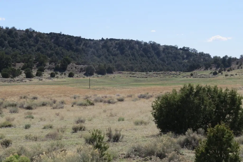 Picture 24