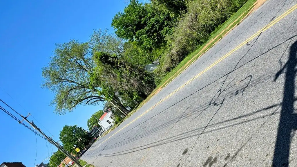 Picture 11