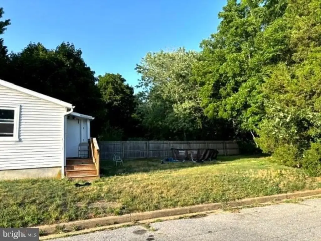 Picture 6