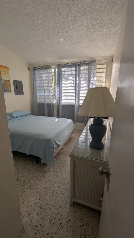 Picture 21
