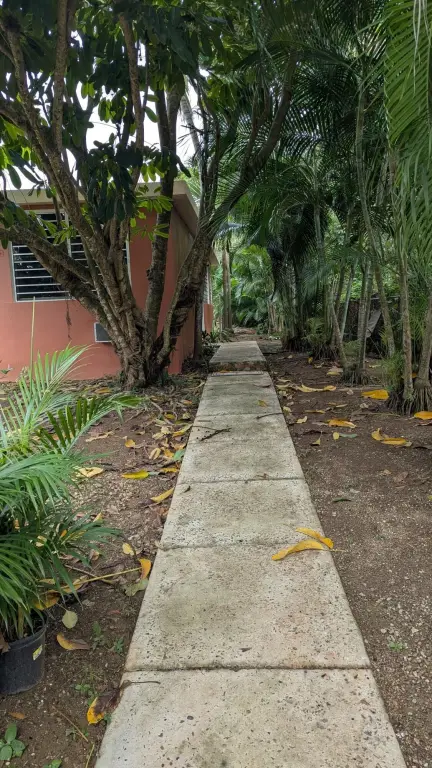 Picture 26