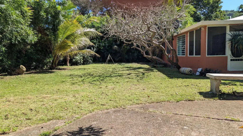 Picture 36