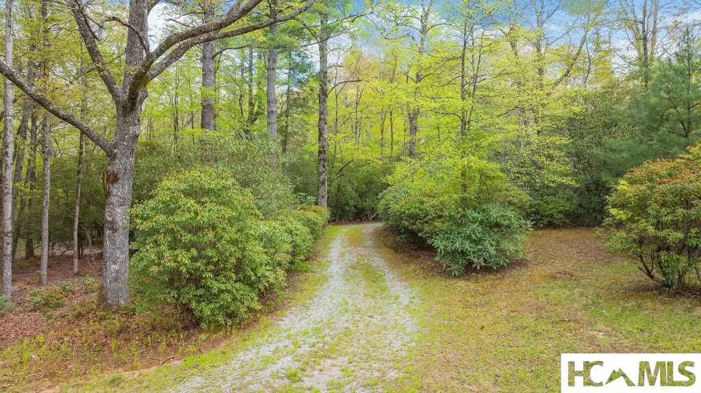 Picture 30