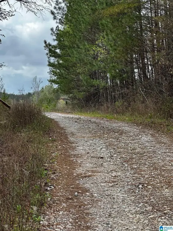 Picture 7