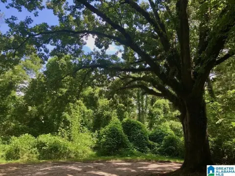 6.4 Acres in Birmingham, AL