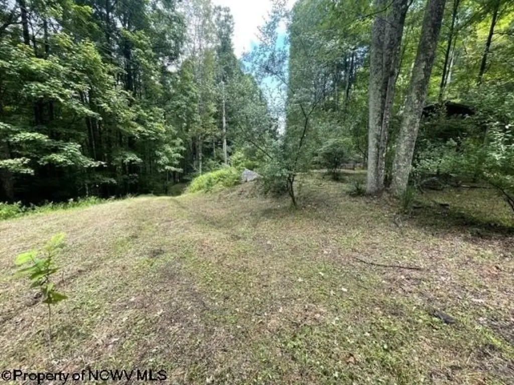 Picture 6