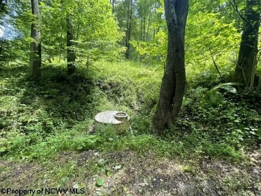 Picture 7