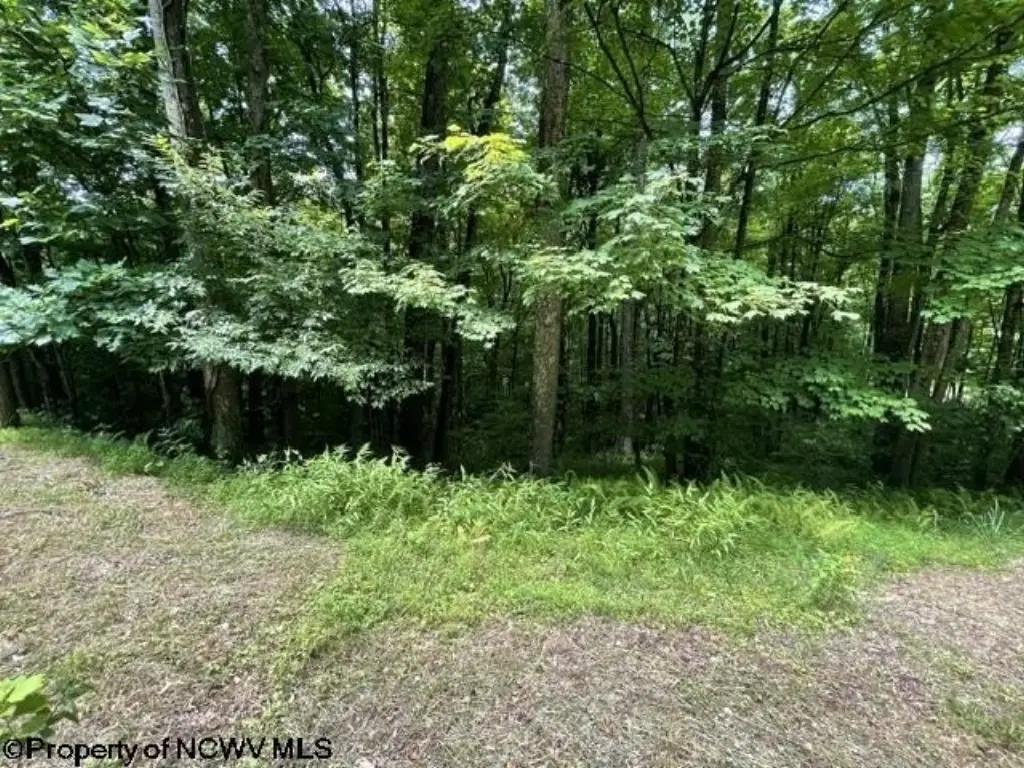 Picture 9