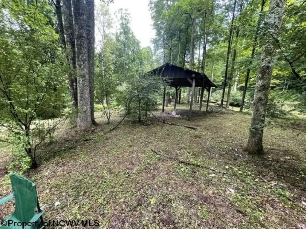 Picture 25