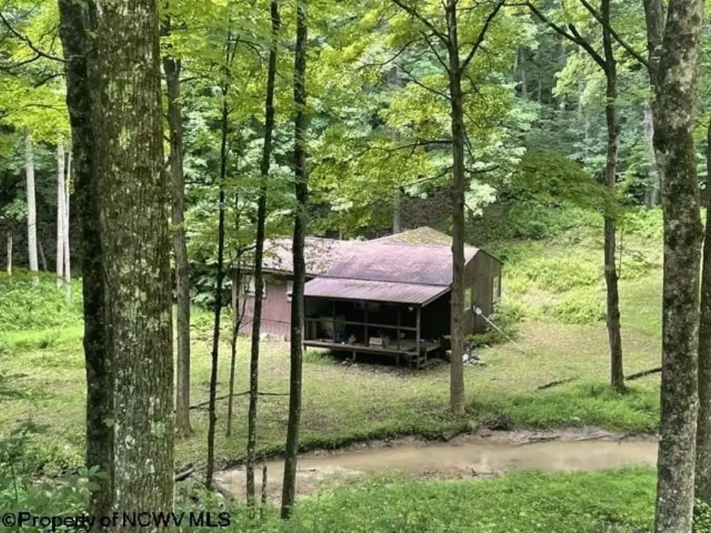 Picture 14