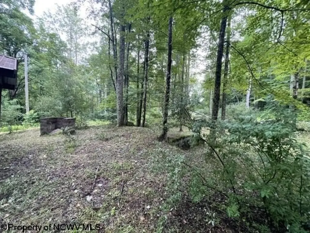 Picture 4