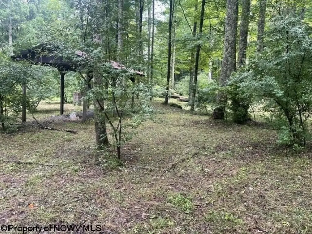 Picture 26
