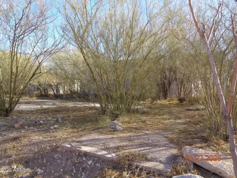 Residential Land in Douglas, Arizona