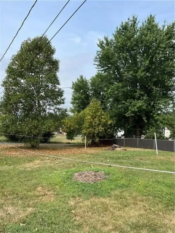 Picture 3