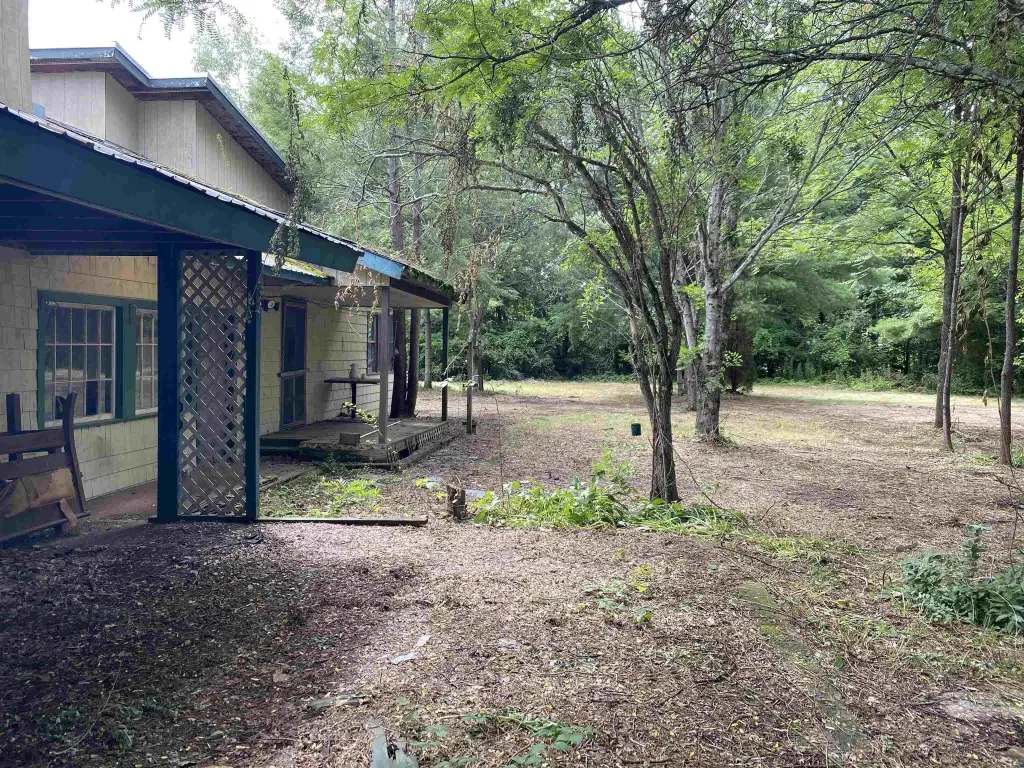 Picture 20