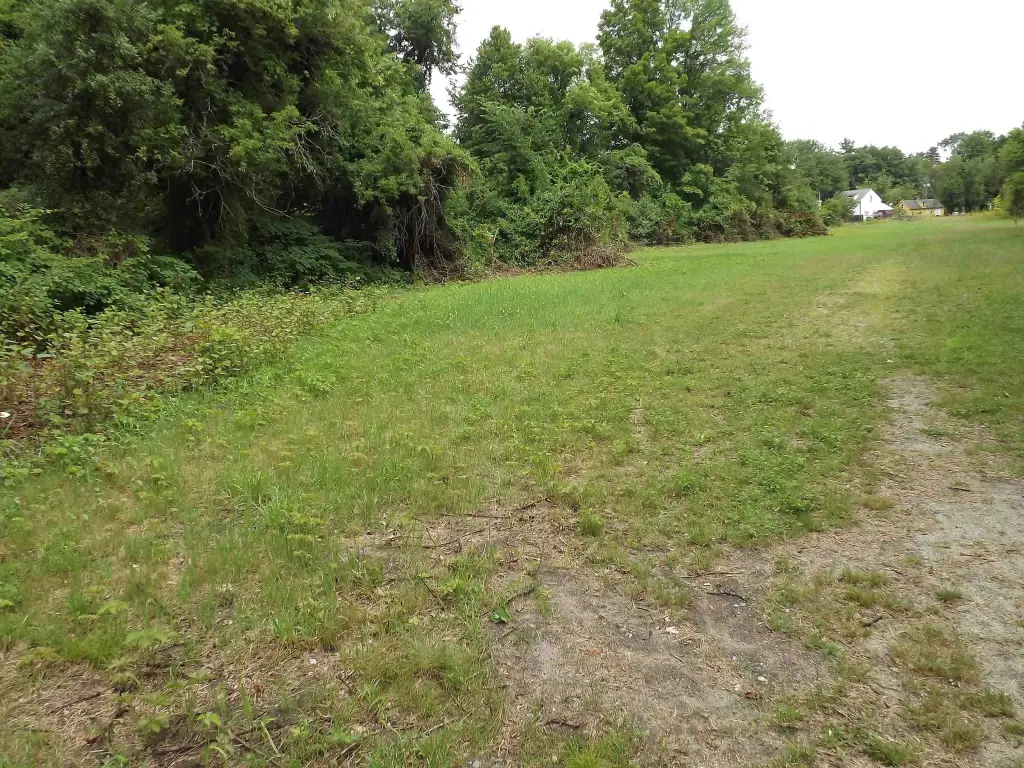 Picture 3