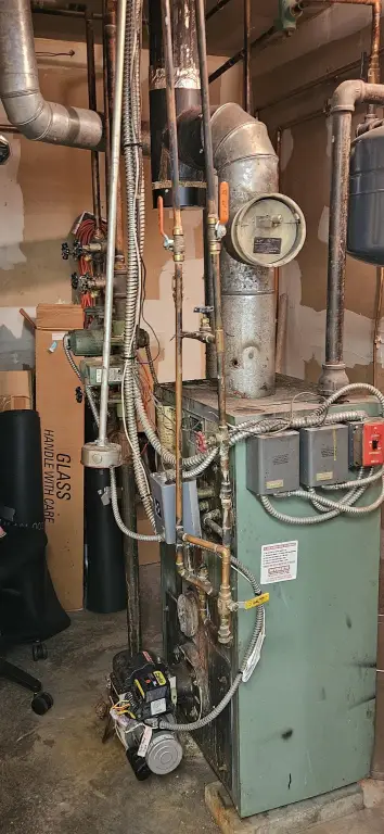Picture 5