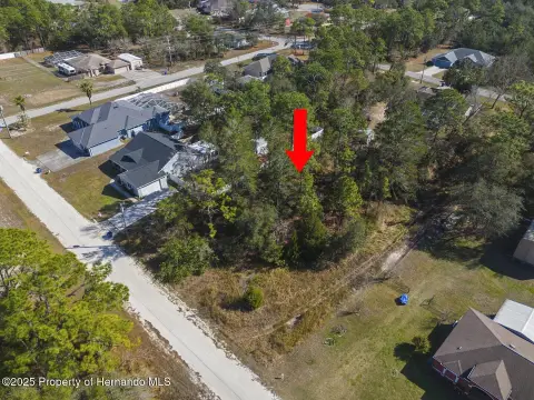 Vacant Land in Weeki Wachee