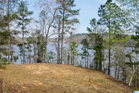 Lakefront Lot with Panoramic Views