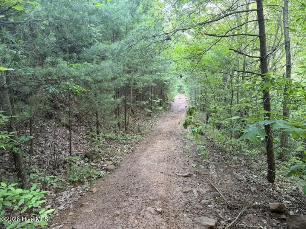 Picture 45