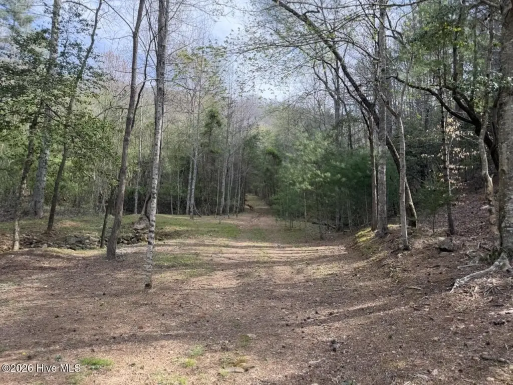 Picture 2