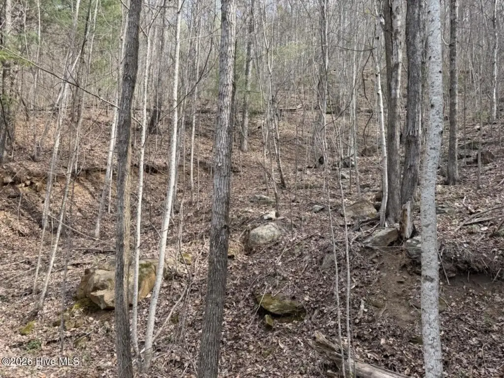 Picture 16