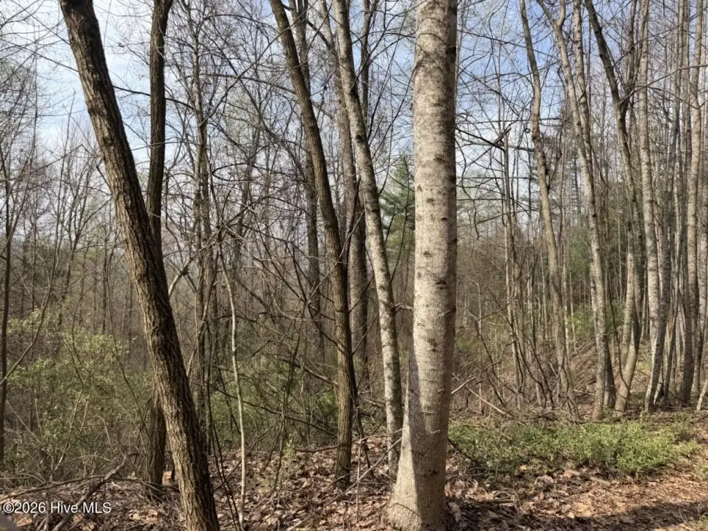 Picture 19
