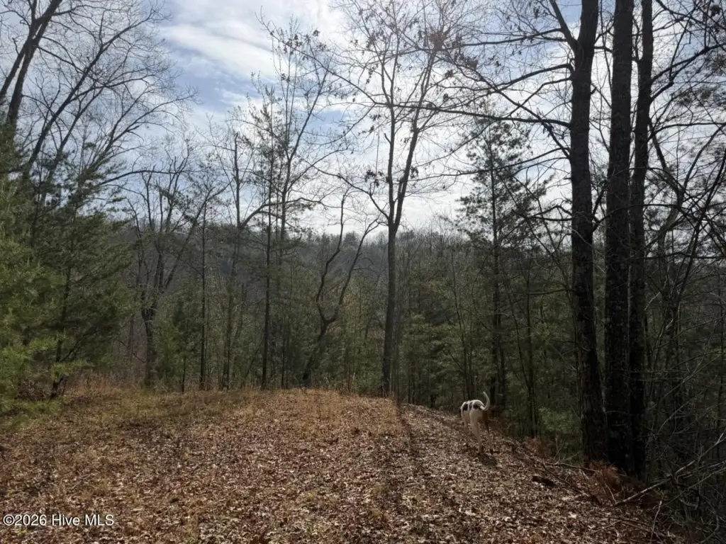 Picture 23