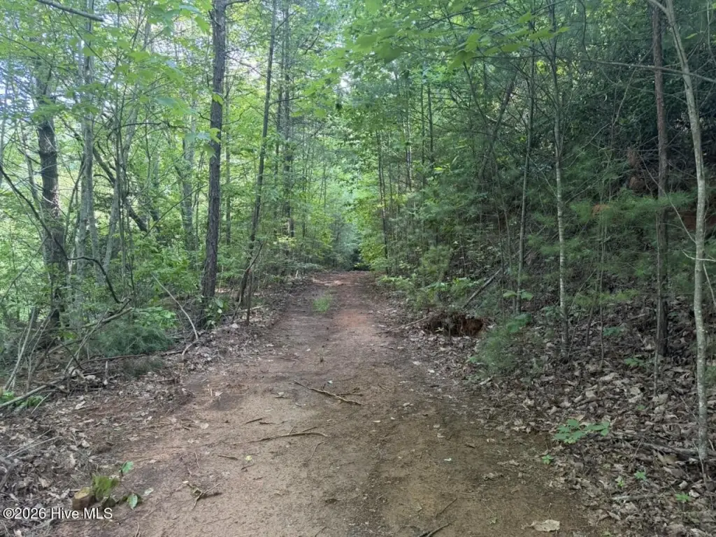 Picture 39